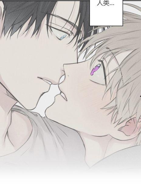 可爱耽美漫画,耽美漫画中的甜蜜爱情故事